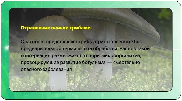 Быстрее разлагается печень песня. Отравление печени лекарствами. Признаки интоксикации печени. Токсическое отравление печени.