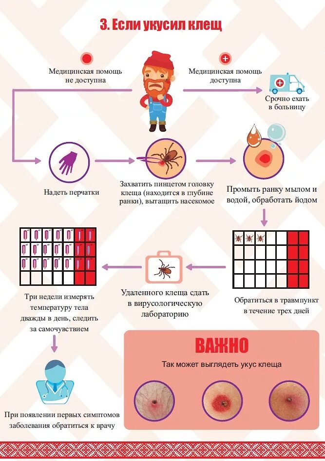 Профилактика укуса клеща человеку. Памятка если укусил клещ. Памятка при укусе клеща. Памятка профилактика укуса клеща. Профилактика если укусил клещ.