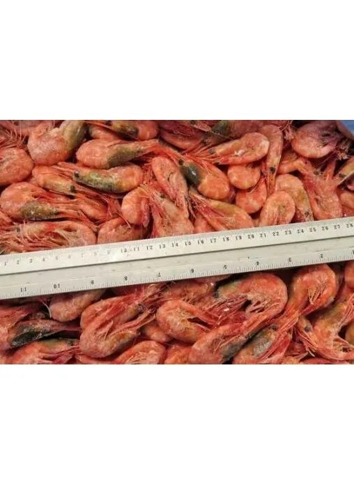 Аргентинская креветка l2. Креветки со склада. Креветки со склада. Креветки со склада. Креветки королевские 50/70.