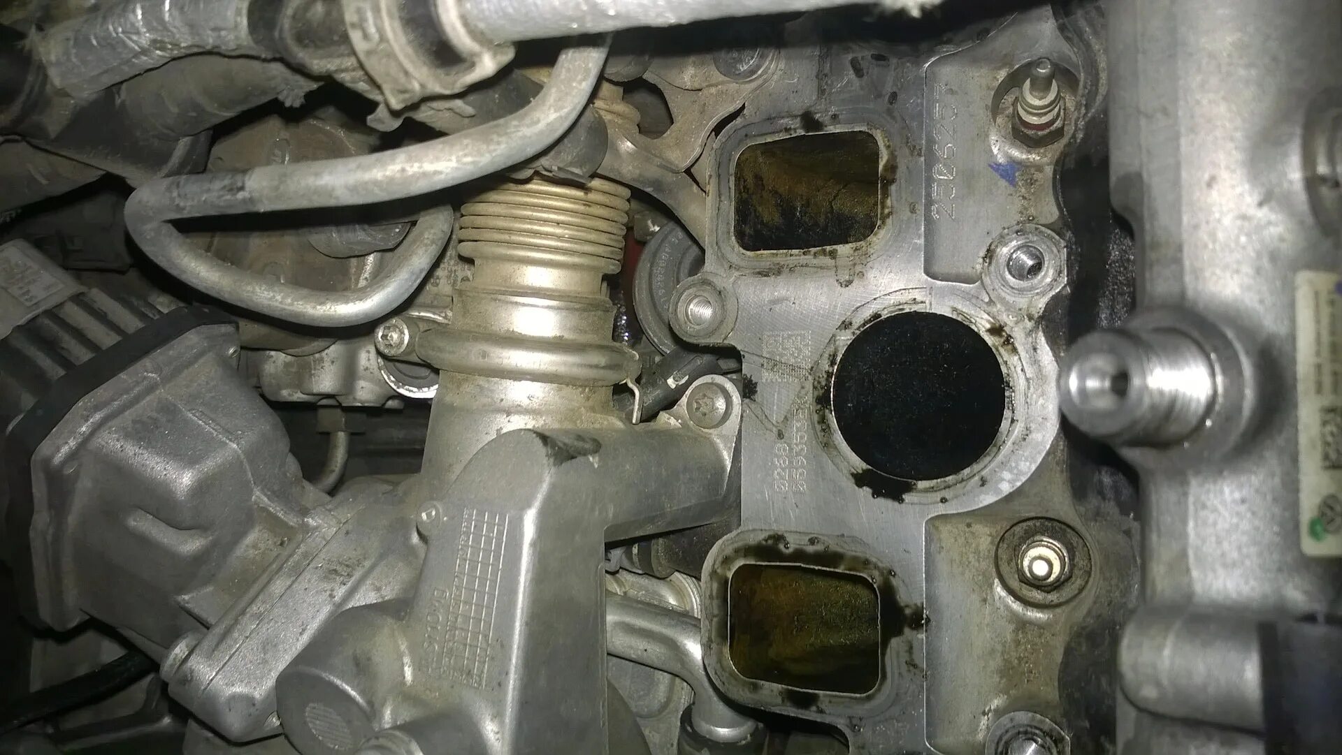 Заглушка блока цилиндров Фольксваген Туарег 3.0 дизель. Подтеки масла двигателя Туарег 2.5 дизель 2006. 3.0 TDI капиталка. Течь антифриза Audi q7 3.6.
