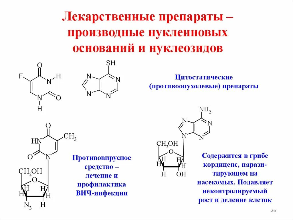 Связи в нуклеиновых кислотах. Структура нуклеиновых кислот биохимия кратко. Характеристика первичной структуры нуклеиновой кислоты. Структура нуклеиновых кислот конспект. Первичная структура нуклеиновых кислот определяется.