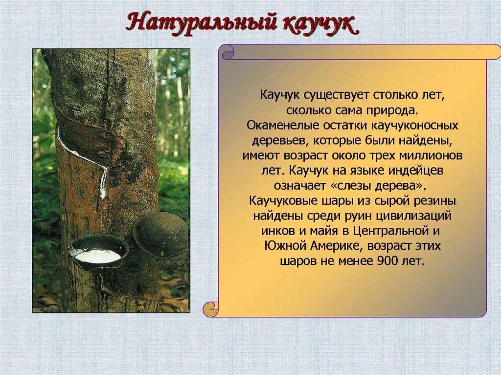 История каучука. Добыча каучука. Натуральный природный каучук получение. История открытия каучука. История каучука кратко.