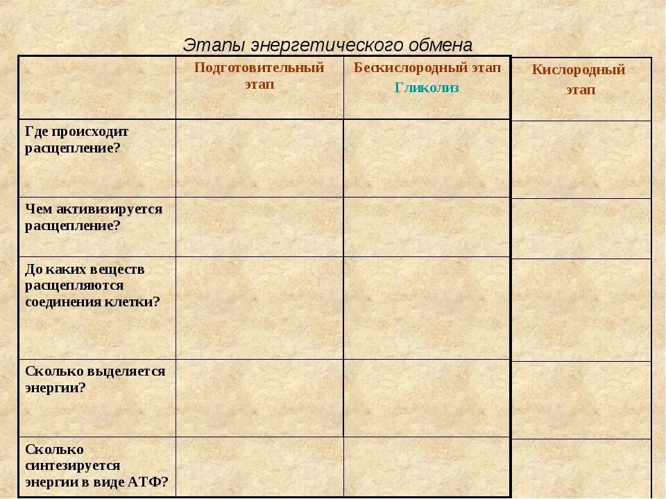 Биологическое значение этапов энергетического обмена. Этапы энергетического обмена таблица 9 класс биология. стадии энергетического обмена таблица. стадии энергетического обмена таблица 9 класс. подготовительный этап энергетического обмена схема.