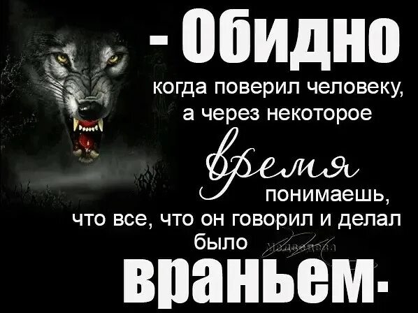 Я тебе верила а ты врал. Я тебе верила а ты врал. Я тебе верила а ты врал. Волки с надписями. Когда тебе лгут.