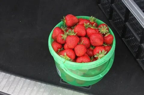 Кг клубники сколько литров