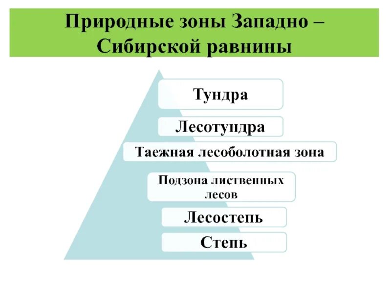 Дайте характеристику природных зон западной сибири. Западно-Сибирская низменность природные зоны. Природные зоны Западно сибирской равнины. Природные зоны Западно сибирской равнины таблица. Природные зоны Западно-сибирской равнины 8 класс.