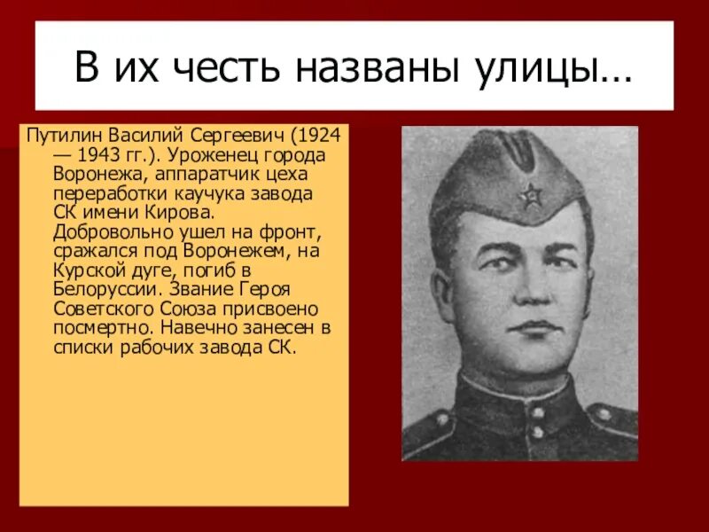 Улицы воронежа названные в честь. Герои Великой Отечественной войны Воронежа. Герои Воронежа в Великой Отечественной. Уроженцы Воронежского края. Знаменитые земляки Воронежа.