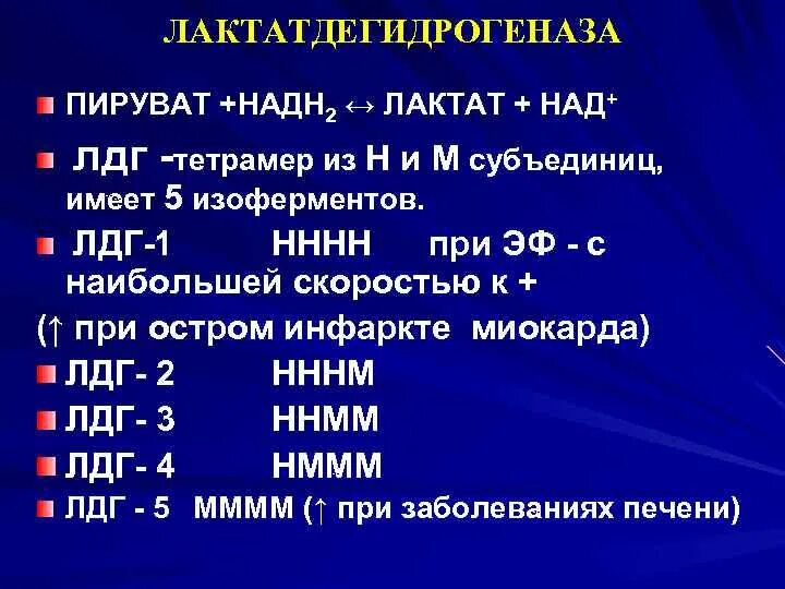 Лактатдегидрогеназа ЛДГ норма. Лактатдегидрогеназа- пируват. Лактатдегидрогеназа (ЛДГ). ЛДГ фермент.