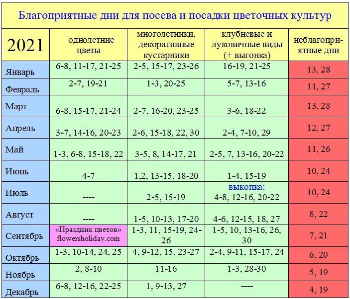 Когда пересаживать цветы в январе 2024 года