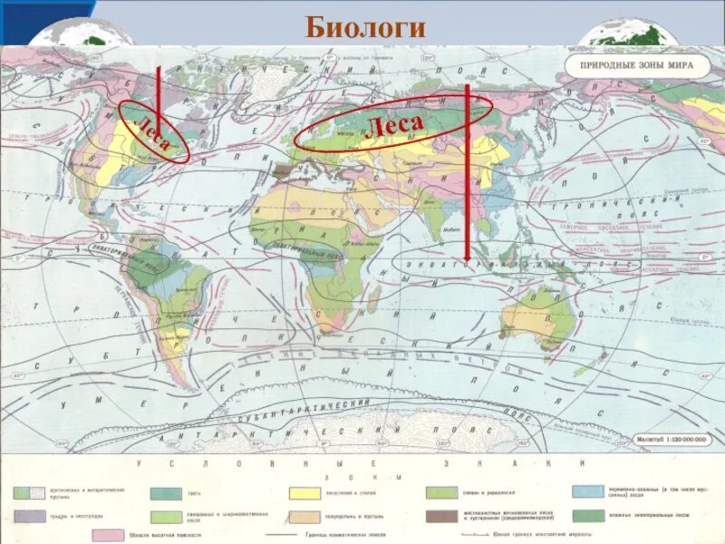 Северные материки природные зоны контурная карта. Карта природных зон Северного полушария. Карта природных зон мира 7 класс. Природные зоны мира на карте полушарий. Природные зоны Северного полушария.