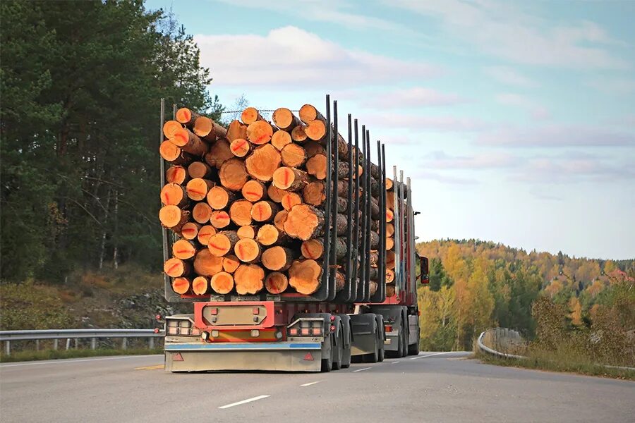 Logging trap