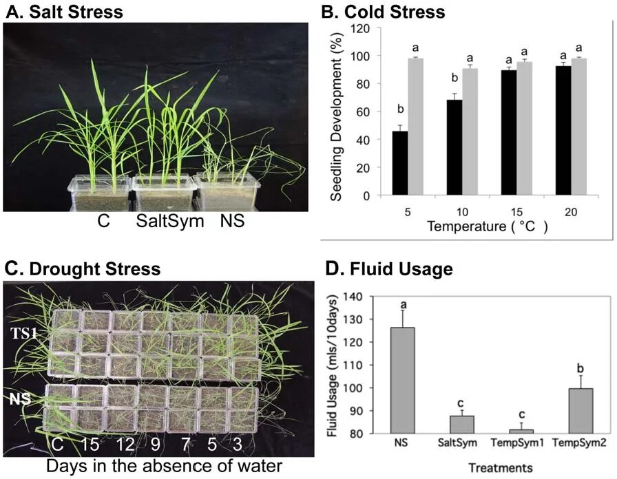 Cold stress in Plants. Стресс у растений. Plant stress Journal. Drought stress+colza. Effect plants