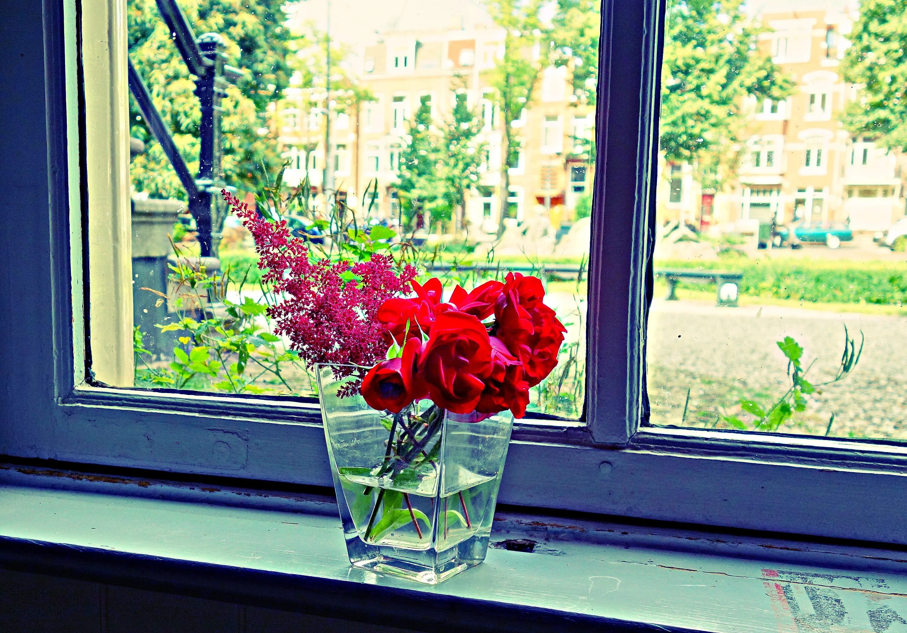 Цветы на окне. Подоконник с цветами. Растения на подоконнике. Букет цветов на подоконнике.
