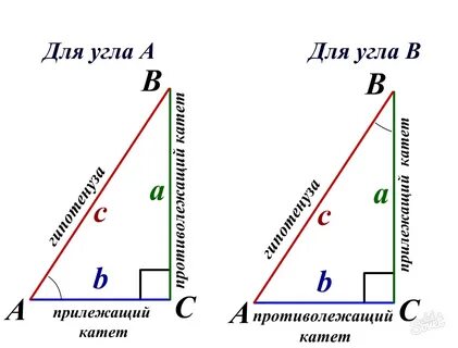 Известны катеты узнать угол