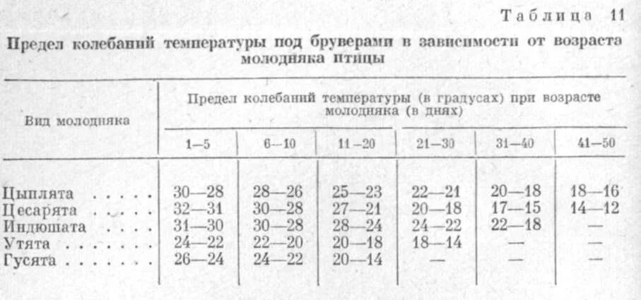 При низких температурах воздуха птицы. Температурный режим в помещениях для животных и птиц. Нормы температуры в помещении для животных. Температура животных в норме таблица. Температура тела животных таблица показателей.