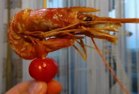 Можно ли есть головы креветок