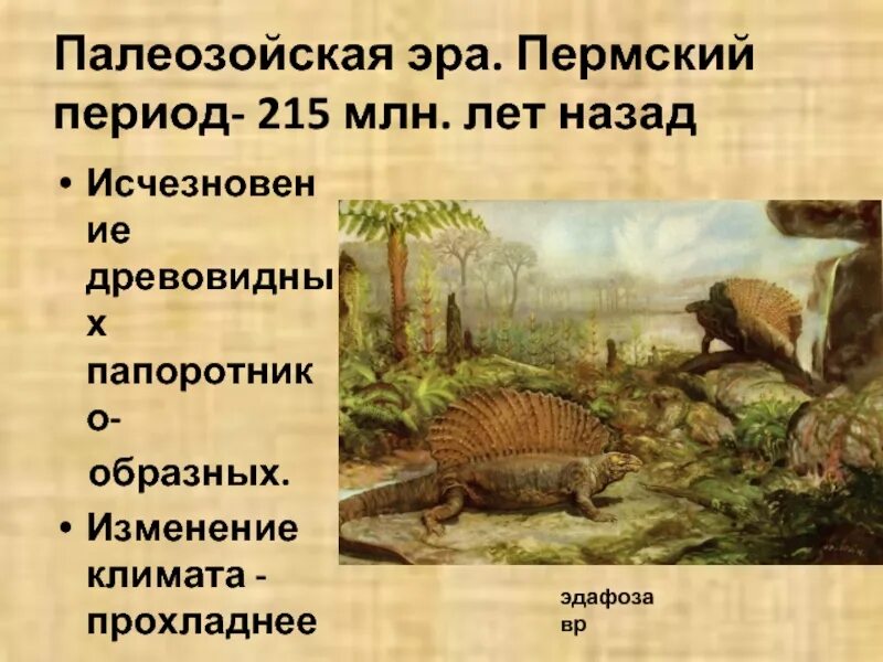 250 млн лет назад какой период. Палеозойская Эра периоды. Палеозой, Палеозойская Эра. Пермский период палеозойской эры. Палеозой 6 периодов.