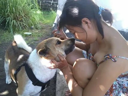 Anjing ku sangat manja denganku, begitu juga... 