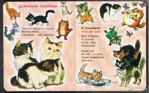 Песня лапки