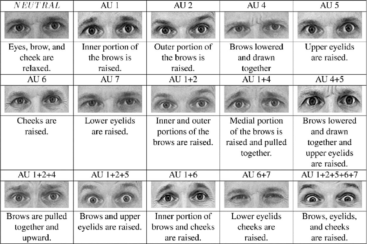 Exercises for eyes. Хейзел цвет глаз характеристика. A eye перевод. Какого цвета глаза у французов. Roundish almond eyes.