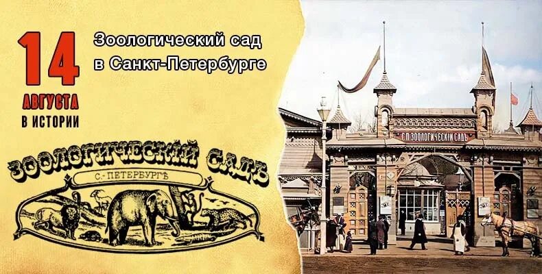 Зоологический сад пробуждается какой. 1865 санкт-петербург зоологический сад.. 1865 — в санкт-петербурге открыт зоологический сад.. петербург 1865 год. зоологический сад в москве 19 век.