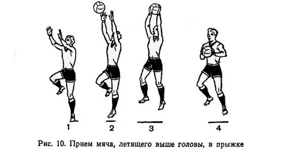 1 ловля мяча. Ловля катящегося мяча снизу. Ловля мяча двумя руками в баскетболе. Ловля мяча летящего высоко. Ловля мяча в гандболе.