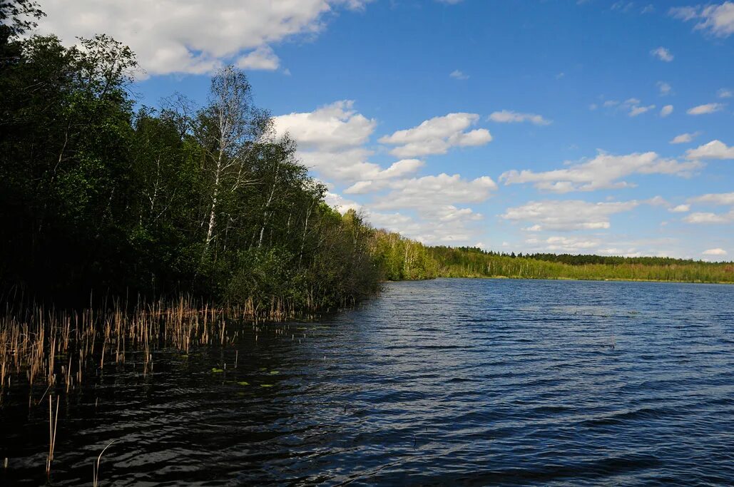 Озеро долгое площадь. Долгое озеро Лобня. Долгое (озеро, Белоруссия). Озеро долгое Приморский район. Озеро долгое Московская область.
