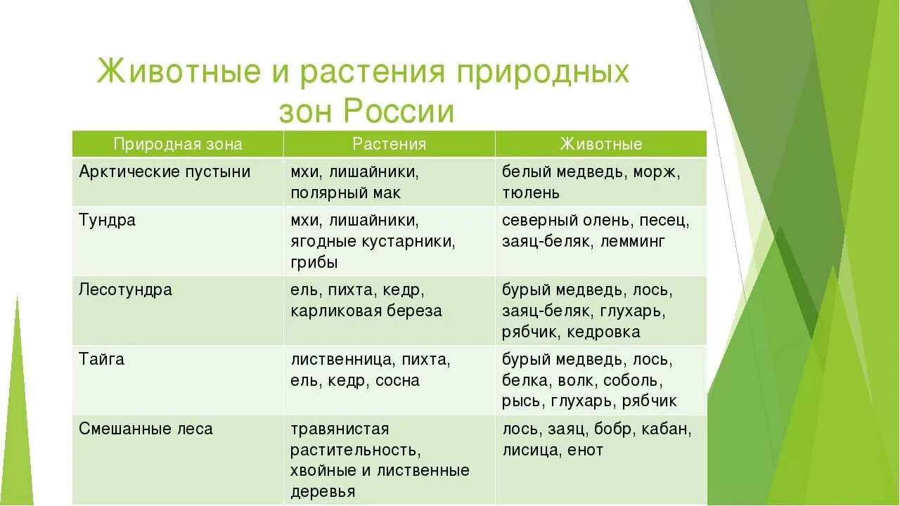 Природная зона растения животные таблица 5 класс