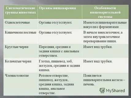 Систематические группы животных органы пищеварения рыбы