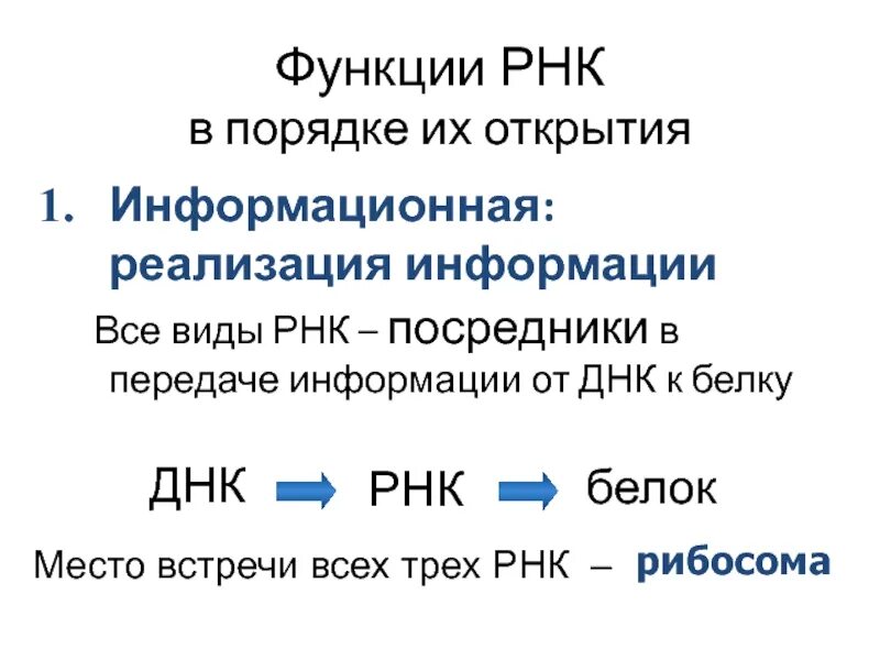 Функции РНК. Функции всех РНК. Функции всех видов РНК. Функции РНК кратко.