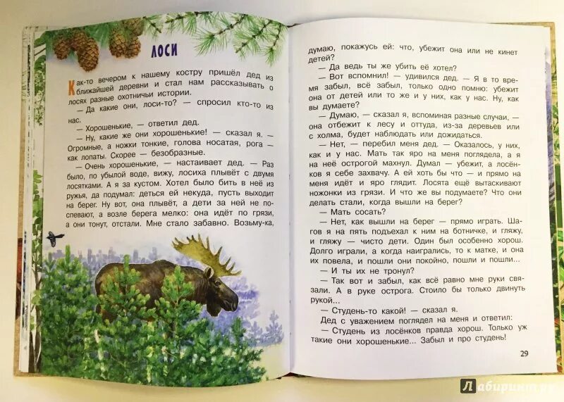 Произведения Пришвина о природе 3 класс. Короткие рассказы о природе. Маленький рассказ о природе. Рассказы о природе для класса.