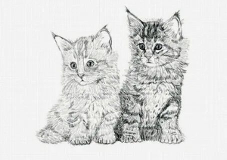 Как нарисовать 2 котенка