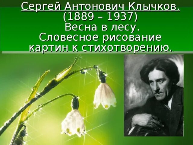 В лесу клычков. В лесу клычков. В лесу клычков. В лесу клычков. В лесу клычков.
