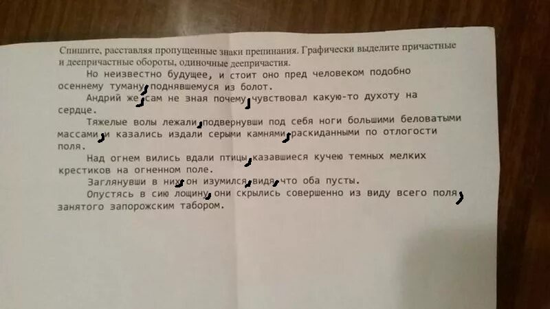 Предложение со словом студенчество в прошедшем времени. Вставить пропущенные знаки препинания. Подчеркните правильные утверждения. Предложение со словом записка с вопросом. Предложение со словом удивление короткое.