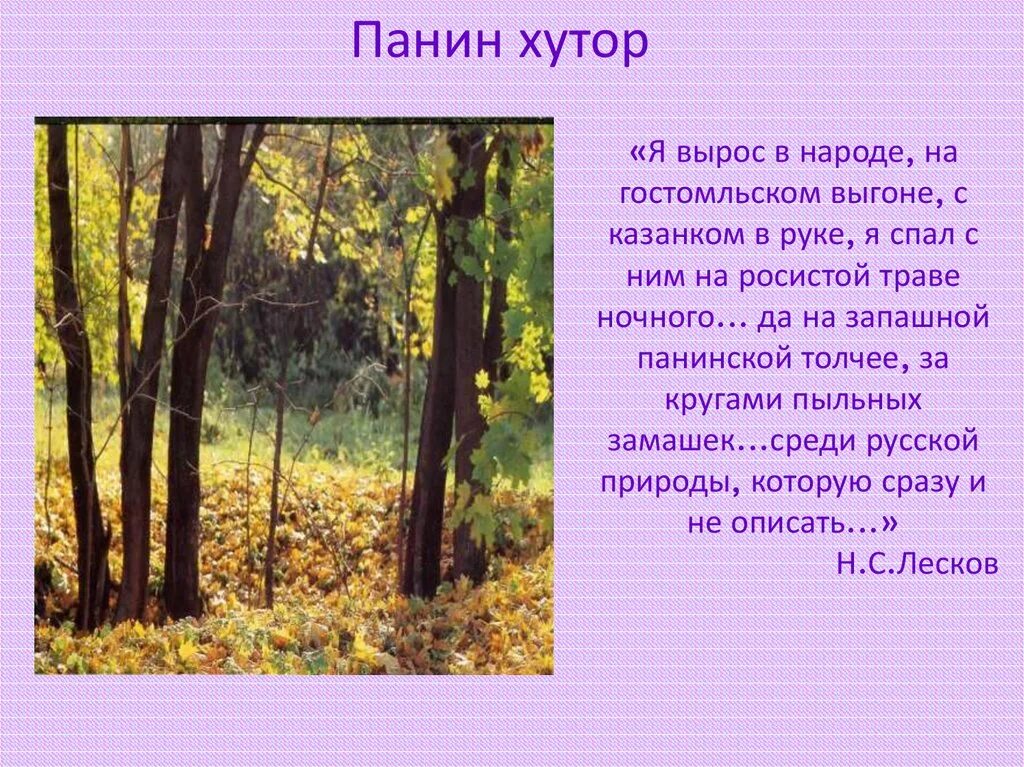 Панин Хутор Лесков. Панино Лесков. Хутор Панино Лесков. Главная мысль стихотворения в лесу над росистой