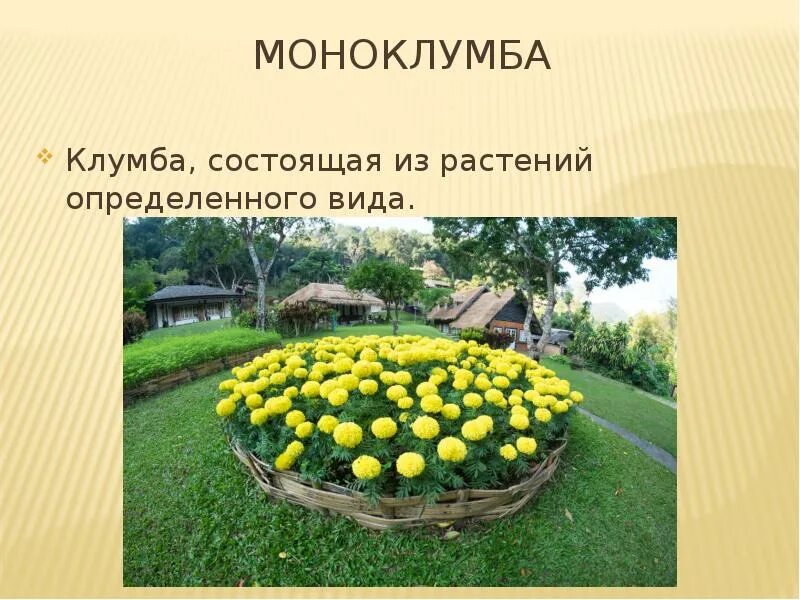 Цветники значение
