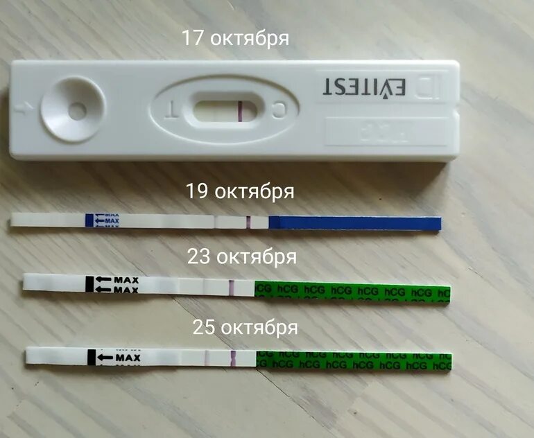 Криоперенос 5 дневок форум. 17 ДПП. ХГЧ на 17 ДПП пятидневок. ХГЧ на 10 ДПП пятидневок. Тесты и ХГЧ после переноса пятидневок.