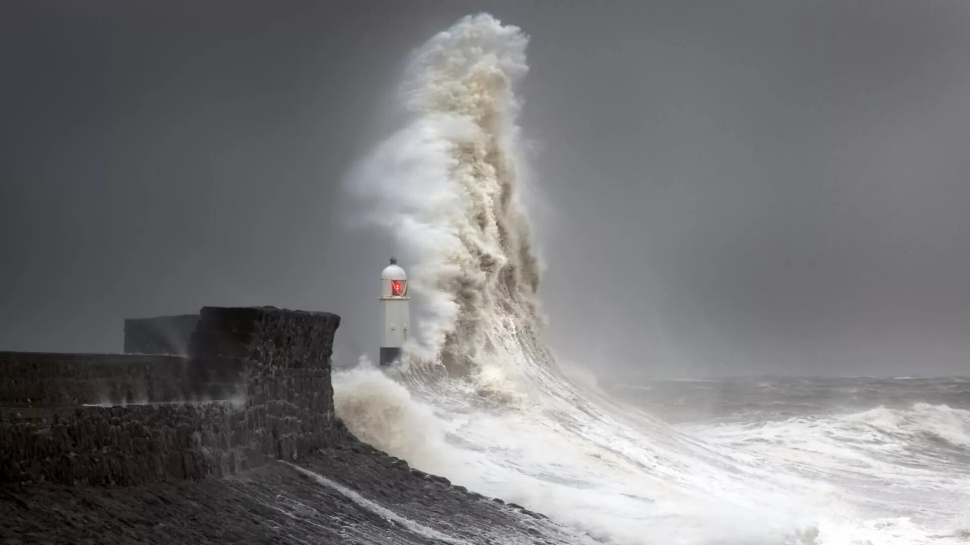Steve storm