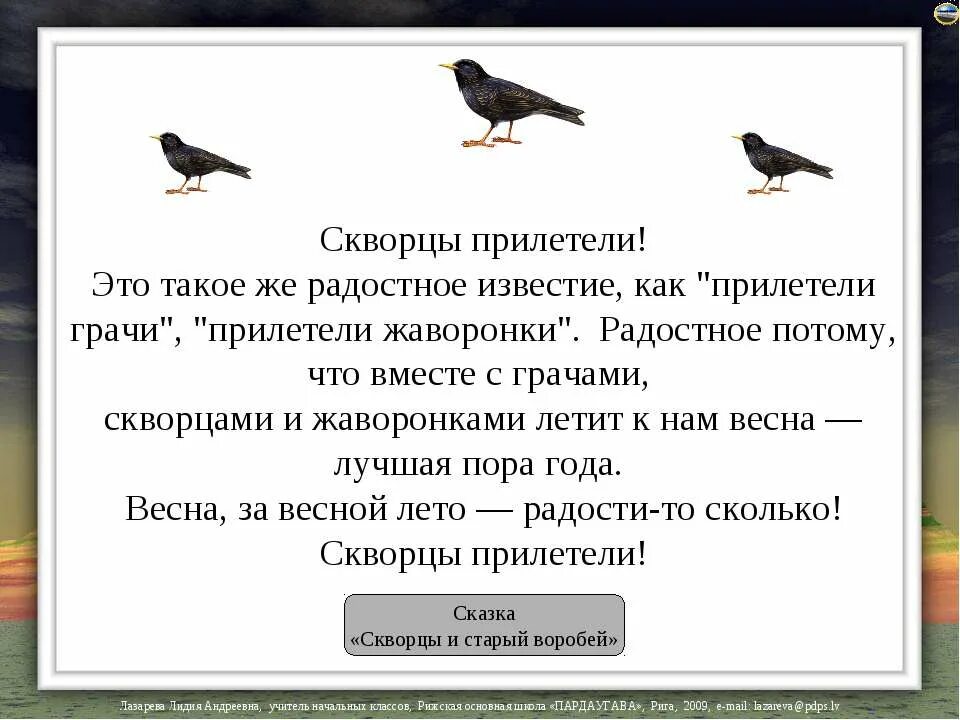 Прилет скворцов верный признак близкой весны. Прилетают птицы предложение. Птицы прилетают с Юга. Скворцы вестники весны. Грач и скворец.