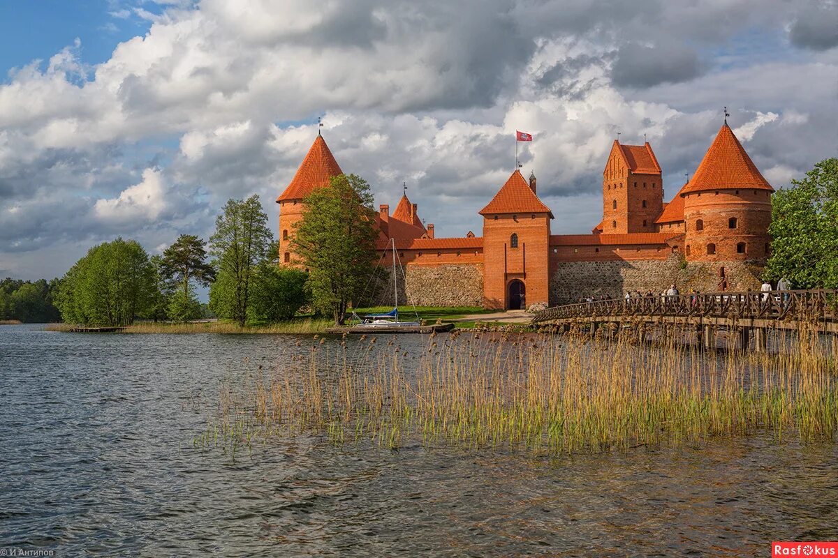 Тракайский замок. Тракайский замок Литва. Тракайский островной замок. Крепость Тракай Литва. Тракайский замок (Тракай, Литва).