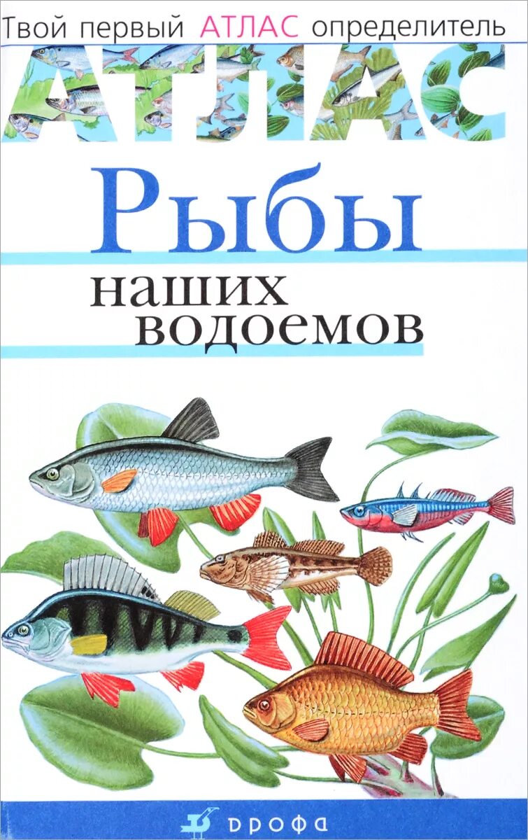 Книги про рыб. Атлас определитель рыб. Атлас рыбы наших водоёмов. Рыбы наших водоемов.твой первый атлас-определитель. Рыба книги купить