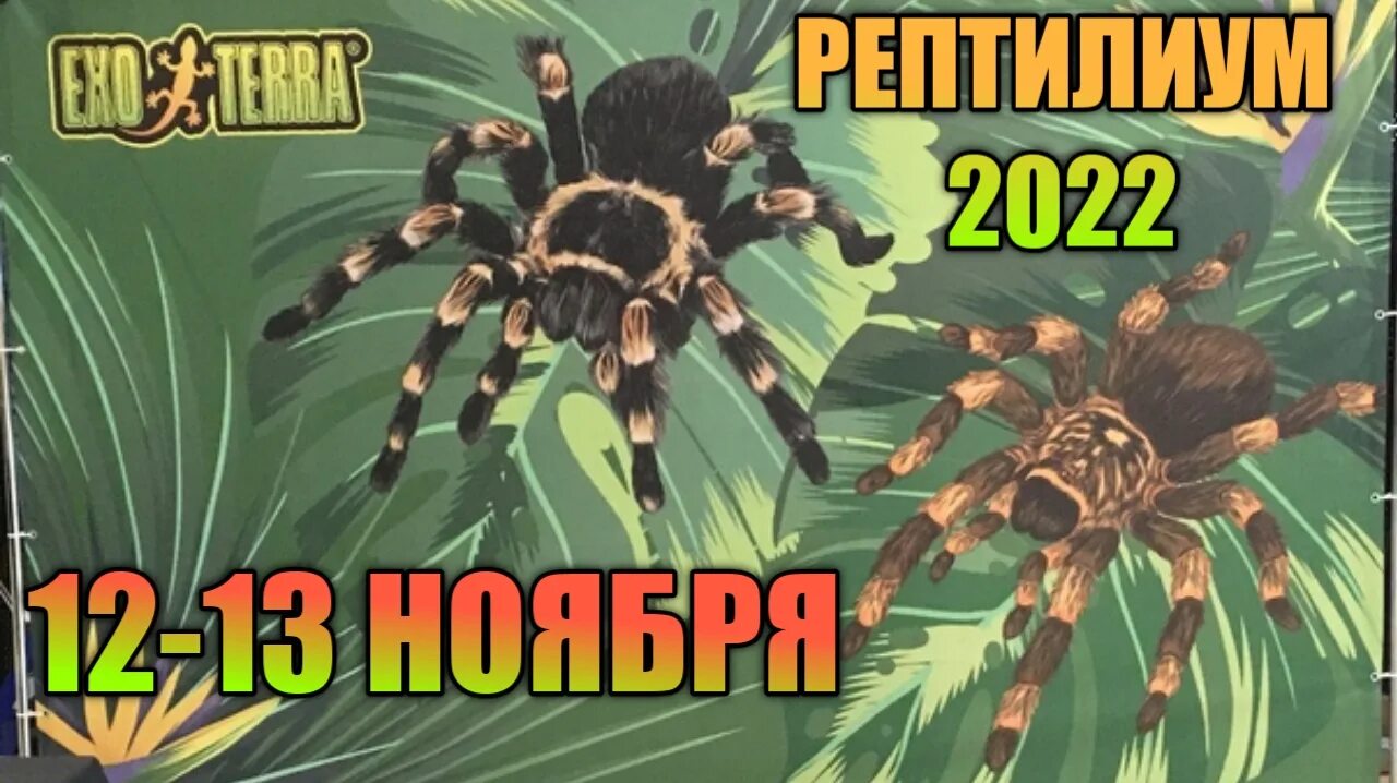 Рептилиум 2024 москва