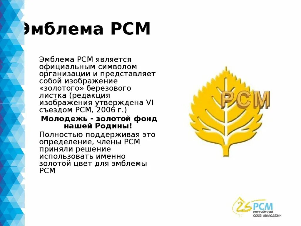 Российский Союз молодежи Общероссийская общественная организация. РСМ российский Союз молодежи. РСМ лого. Российский Союз молодежи логотип.