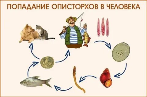 Опестрахоз