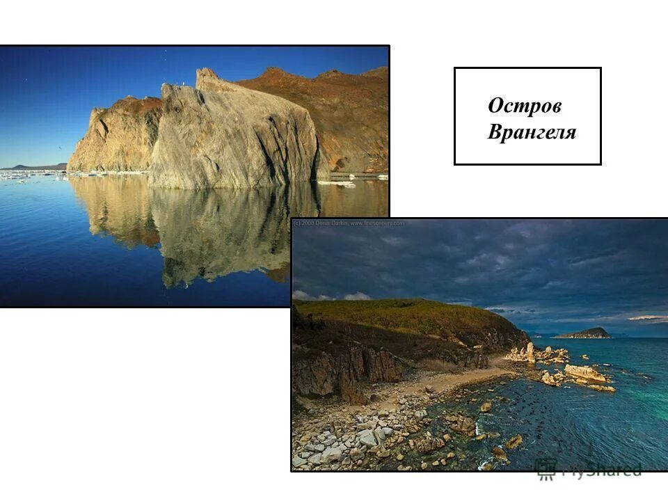 остров врангеля природное наследие. остров врангеля. остров врангеля объект юнеско. гора советская остров врангеля. остров врангеля объект юнеско.