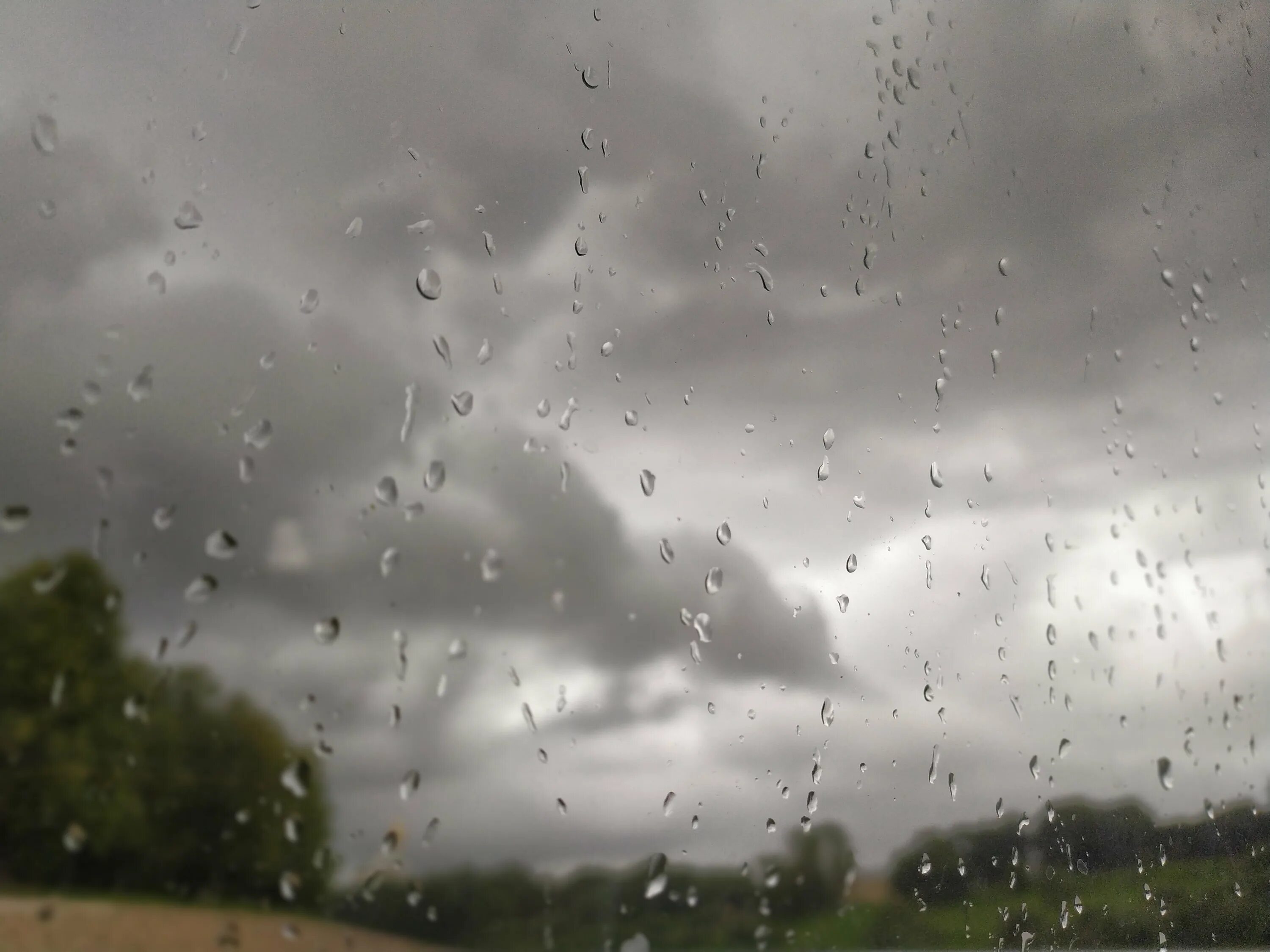 дождливый летний день. пасмурно дождь будет. хмурая дождливая. сильный дождь. дождливая пасмурная погода.