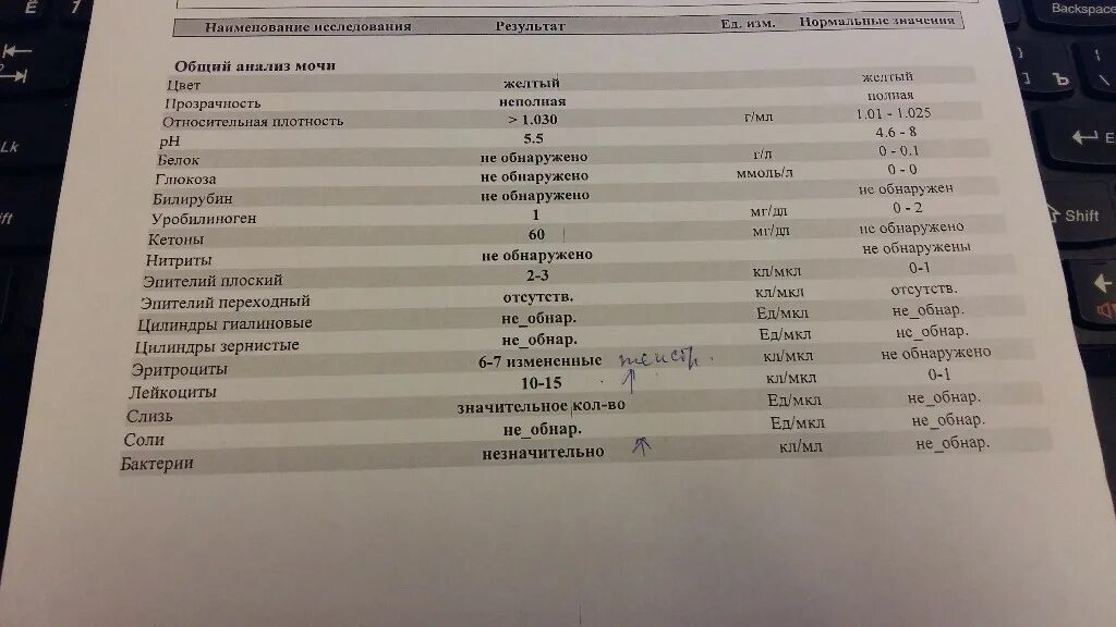 Сильно выпадают волосы анализы. Анализы при выпадении волос. Анализ крови при выпадении волос у женщин. Какие анализы сдать при выпадении волос. Какие витамины сдать при выпадении волос.