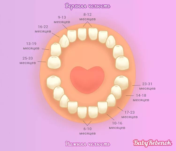 Порядок прорезывания молочных зубов у малышей. Очередность прорезывания зубов у младенцев схема. Молочные зубы порядок прорезывания. Зубы у детей порядок прорезывания молочных зубов.