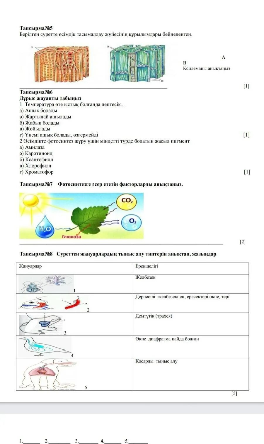 Соч по биологии 9 класс Министерство. Соч по биологии 9 класс