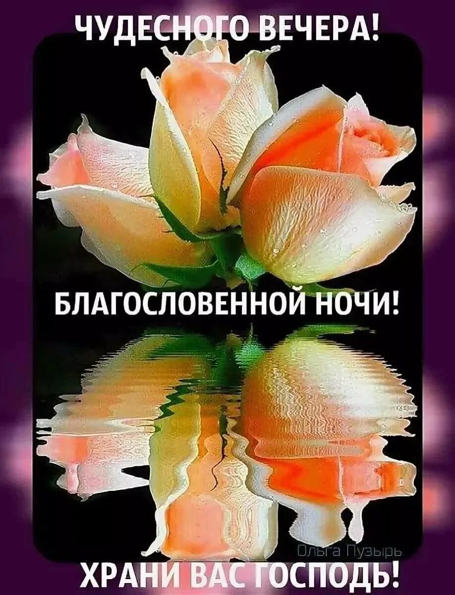 Христианские пожелания на ночь. Православные пожелания спокойной ночи. Доброго вечера и спокойной ночи. Доброй ночи православные. Доброй и спокойной ночи ангела хранителя ко сну.